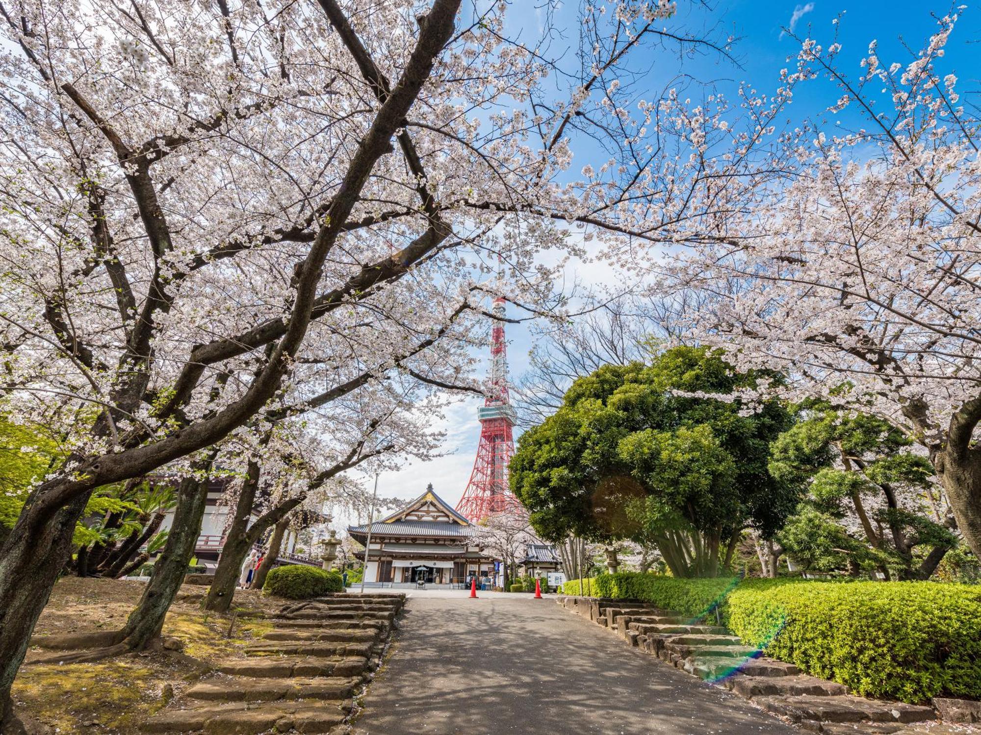Hotel Illi Rom Hamamatsucho Prefektura Tokio Exteriér fotografie